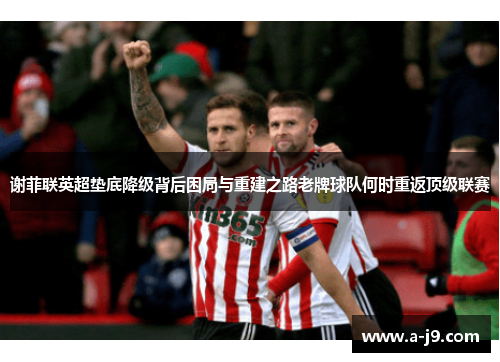 谢菲联英超垫底降级背后困局与重建之路老牌球队何时重返顶级联赛 谢菲联英超垫底降级背后困局与重建之路老牌球队何时重返顶级联赛